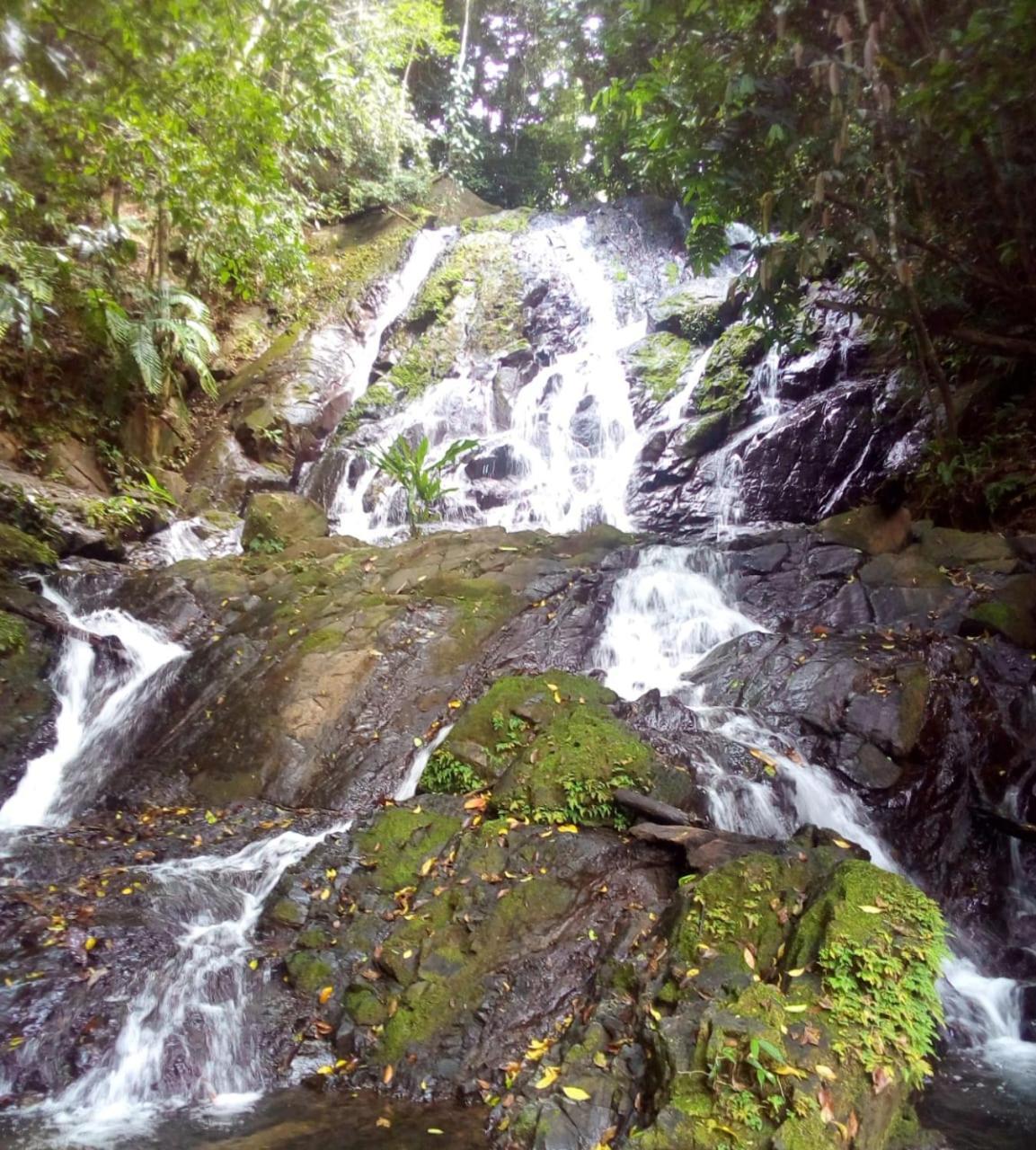 Finca La Puesta Del Sol - Miramar De Sierpe Extérieur photo