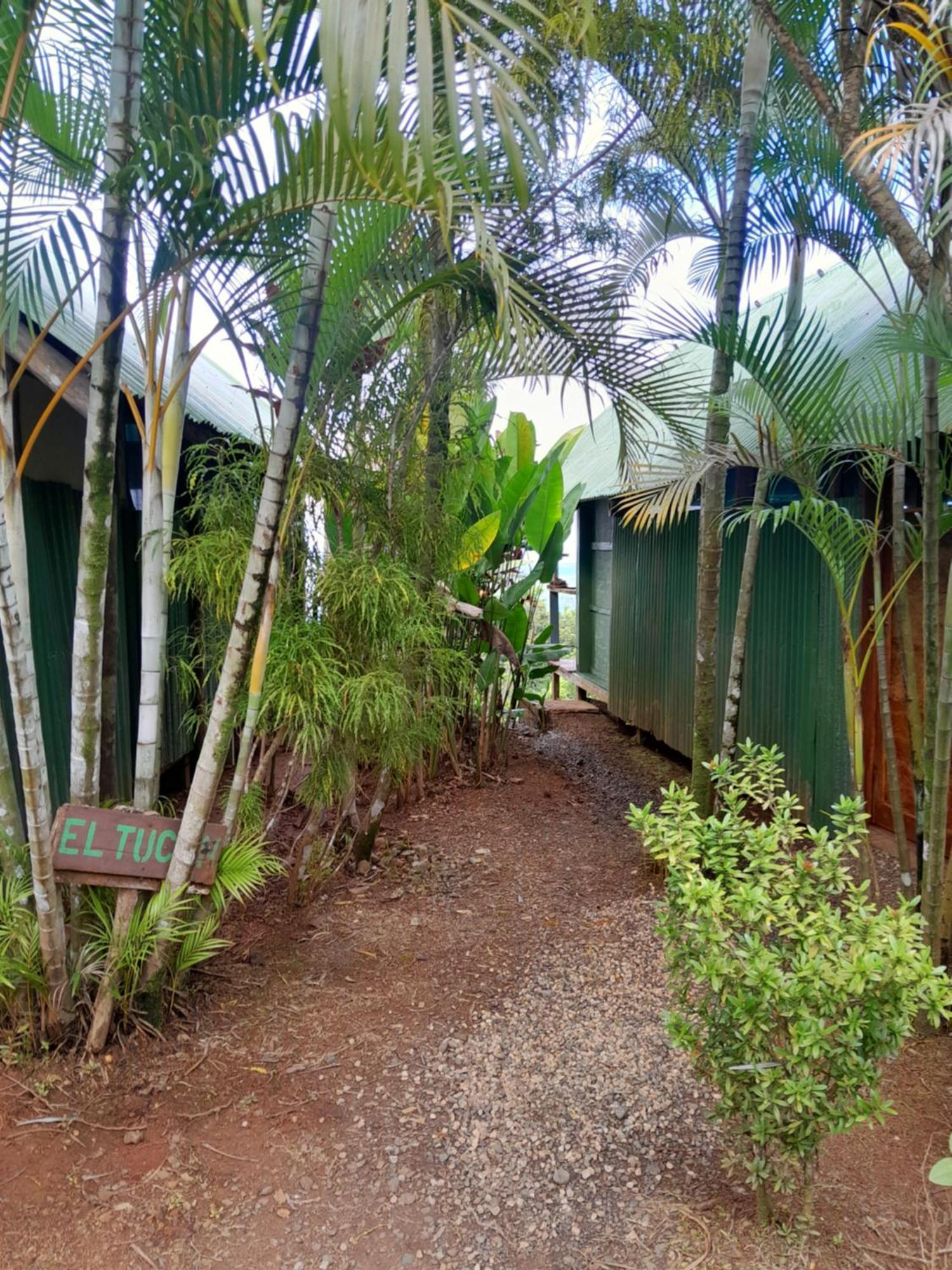 Finca La Puesta Del Sol - Miramar De Sierpe Chambre photo